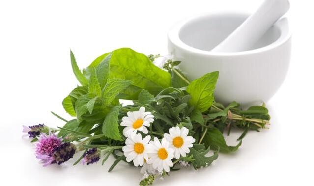 Les plantes médicinales sont à la base des remèdes contre les effets externes sur l'articulation du genou affectée par l'arthrose.